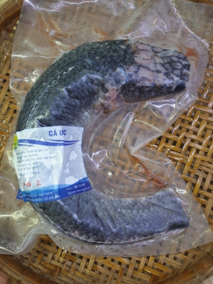 Cá Lóc Thiên Nhiên